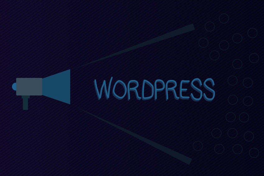 WordPress Plugins